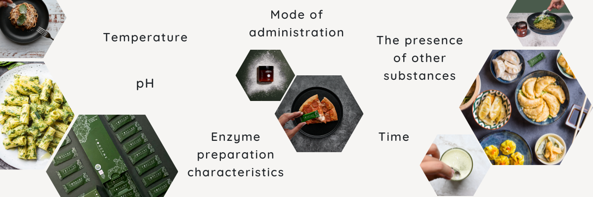 Factors that influence enzyme activity: Temperature, pH, time, enzyme preparation characteristics, the presence of other substances and the mode of administration.