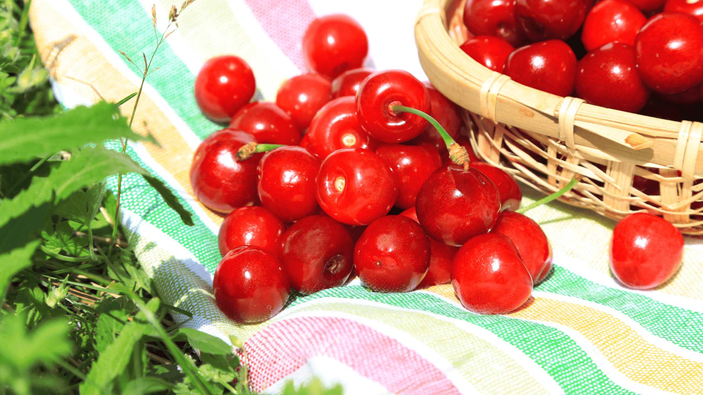 FODMAP Reintroduction Phase and How to Successfully Reintroduce Foods