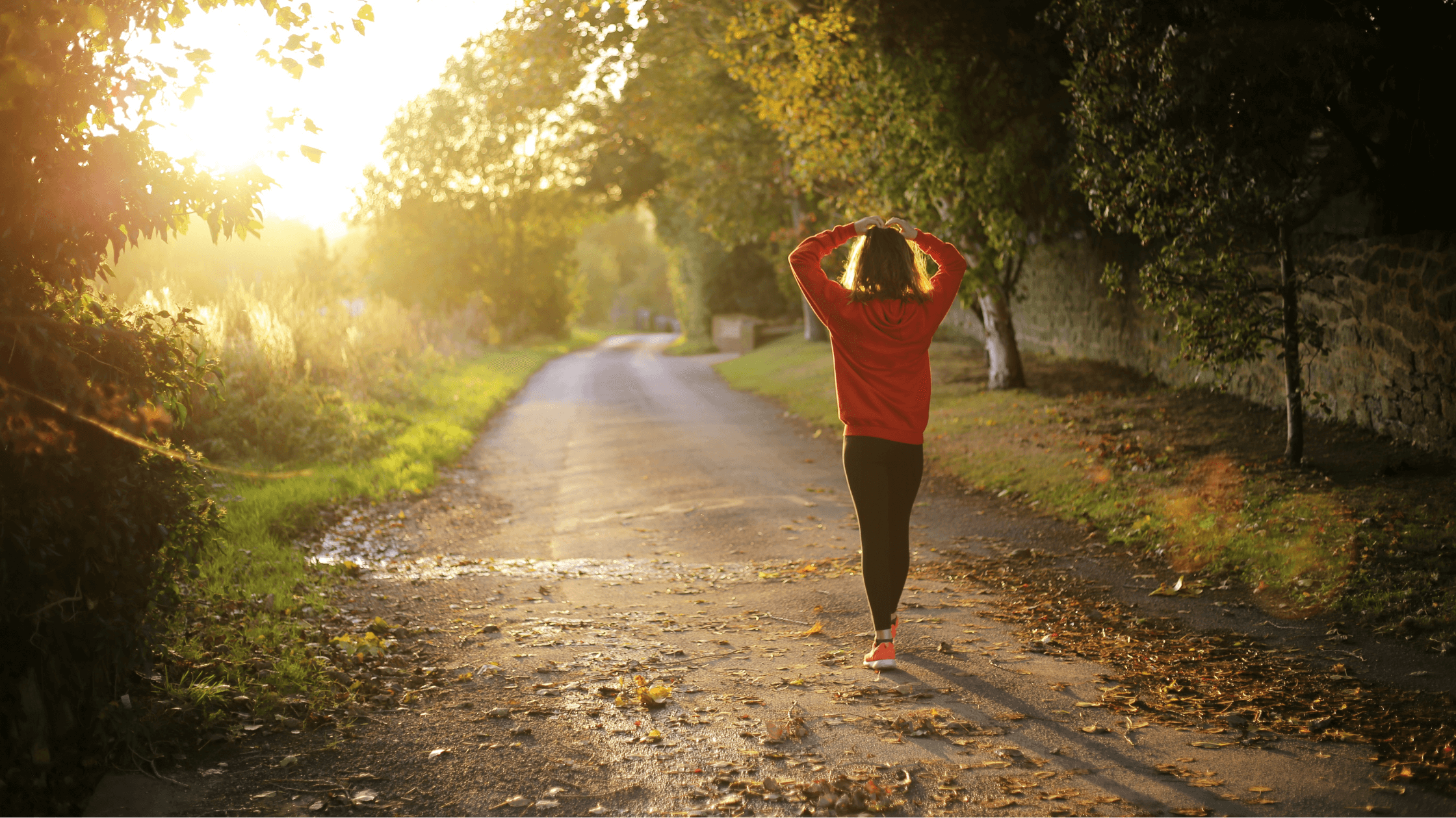 FODMAP Reintroduction Phase and How to Successfully Reintroduce Foods