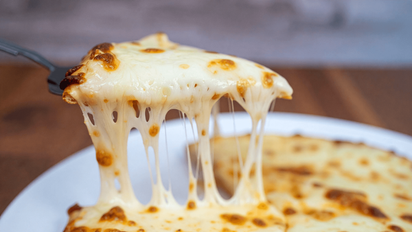 Dairy-Free vs. Lactose-Free: Your Complete Guide